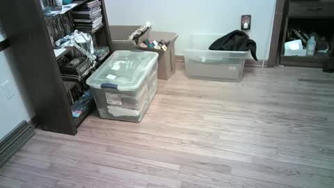 Snapshot of har5 chatting on 01.06.25 Hardy-Har online show from 01.06.25