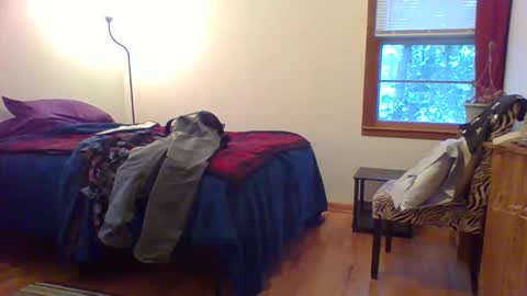 Snapshot of har5 chatting on 12.01.25 Hardy-Har online show from 12.01.25