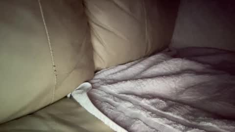 Snapshot of hardcock2622 chatting on 12.20.24 Slim West Cox online show from 12.20.24