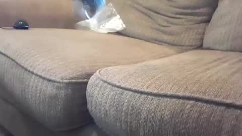 Snapshot of hardcock2share chatting on 02.04.25 hardcock2share online show from 02.04.25