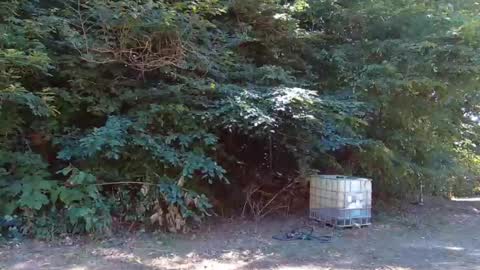 hardworkertn online show from 09.23.25