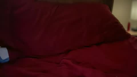 Snapshot of haroldhaller chatting on 10.23.25 Harry H online show from 10.23.25