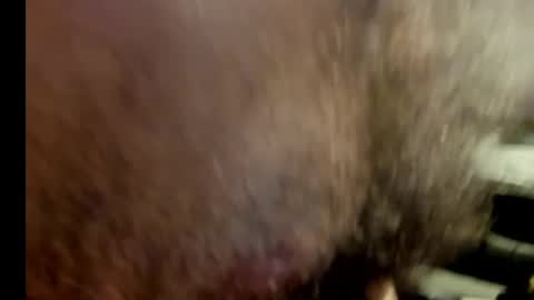 Snapshot of harry_banana chatting on 01.17.25 harry_banana online show from 01.17.25