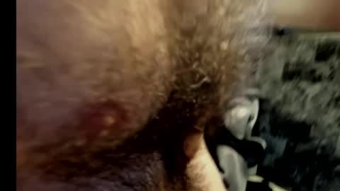 Snapshot of harry_banana chatting on 02.10.25 harry_banana online show from 02.10.25