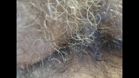 Snapshot of harry_banana chatting on 09.11.25 harry_banana online show from 09.11.25