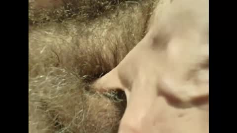 Snapshot of harry_banana chatting on 11.30.25 harry_banana online show from 11.30.25