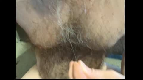 Snapshot of harry_banana chatting on 02.27.26 harry_banana online show from 02.27.26