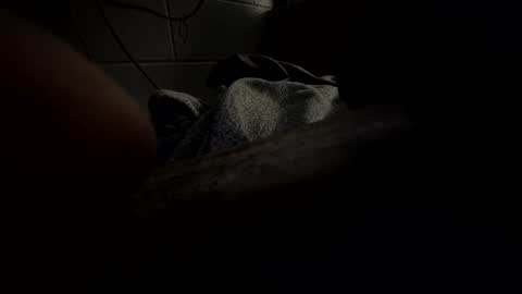 J Hart online show from 01.23.25