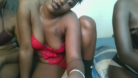 Havanna online show from 06.02.26