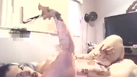 Snapshot of hazelbasil32728 chatting on 10.30.25 hazelbasil32728 online show from 10.30.25