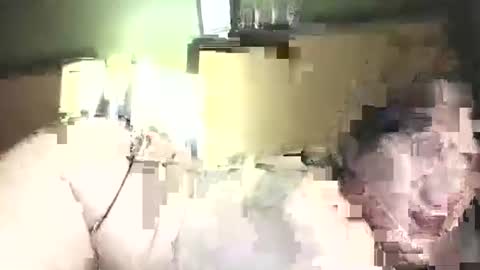 Snapshot of hazelbasil32728 chatting on 10.31.25 hazelbasil32728 online show from 10.31.25