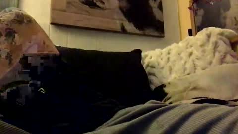 Snapshot of hbsethy chatting on 01.11.25 HBSethy online show from 01.11.25