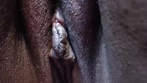 Heather online show from 10.28.25