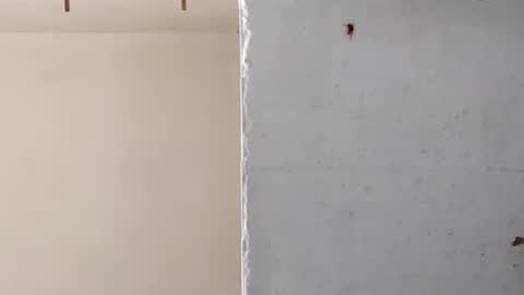 Snapshot of heaven_07 chatting on 03.16.26 heaven_07 online show from 03.16.26