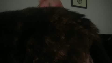 Bunnie Rotz online show from 03.02.25