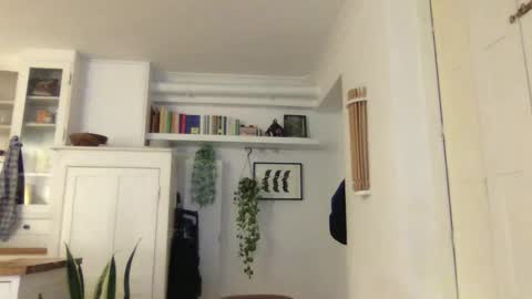 Snapshot of hellolucas69 chatting on 01.03.25 Lucas online show from 01.03.25