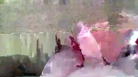 hera44 online show from 04.21.26