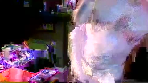 Snapshot of herb60657 chatting on 11.04.25 herb60657 online show from 11.04.25