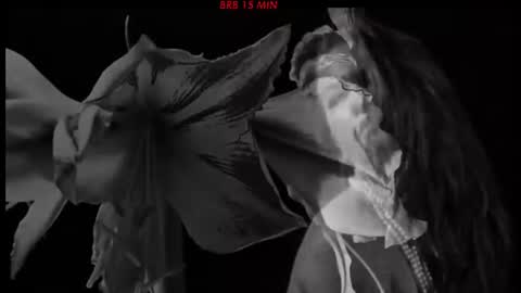 Snapshot of hetaerart chatting on 06.24.26 Sasha online show from 06.24.26