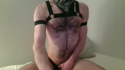 Hector or Hex for short online show from 03.01.26