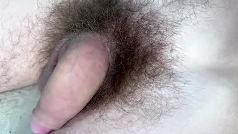 Snapshot of hey_arnold chatting on 01.29.25 Arnold online show from 01.29.25