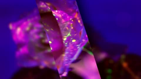 Alina online show from 03.15.26