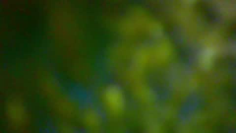 Snapshot of hhhjnf1 chatting on 10.06.25 hhhjnf1 online show from 10.06.25