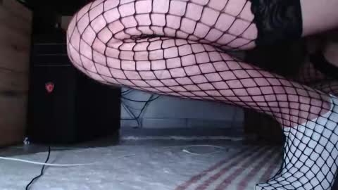 Snapshot of hibo66 chatting on 12.16.25 InMyAss online show from 12.16.25