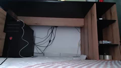 Snapshot of hibo66 chatting on 01.11.26 InMyAss online show from 01.11.26