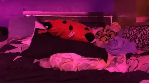 HiGHNESS CANNA online show from 02.11.26