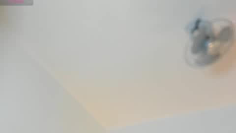 hilary_tailor online show from 02.16.26