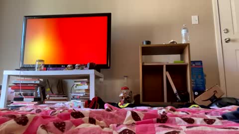 angelbabi online show from 12.11.24