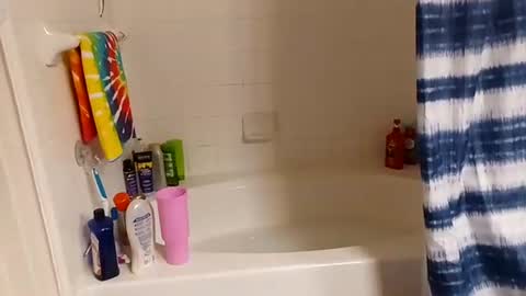 Snapshot of hippydippychick chatting on 11.13.25 hippydippychick online show from 11.13.25