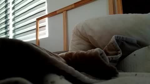 Snapshot of hnkkk88888 chatting on 11.06.25 Fucker online show from 11.06.25