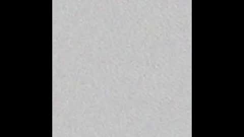 hofnung online show from 02.14.26