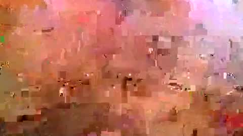 midwestchamp online show from 04.25.26