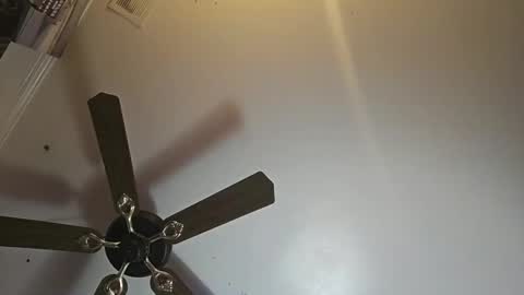 hoglegg99384194 online show from 11.02.25