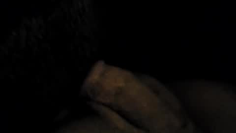 hoiiand48482 online show from 04.04.26