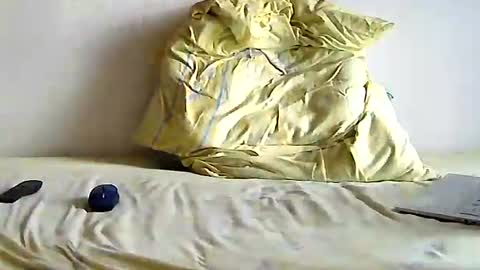 Snapshot of hol15 chatting on 10.22.25 hol15 online show from 10.22.25