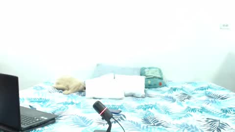 Snapshot of holycode chatting on 02.02.25 Holycode online show from 02.02.25