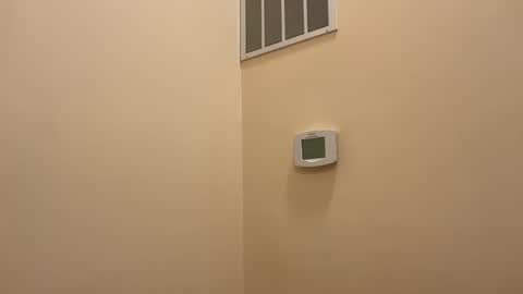 honey_man14 online show from 02.12.26