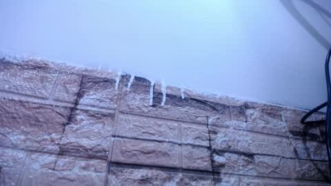 Victoria online show from 04.04.26