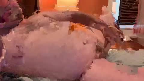 horndawglove online show from 01.06.25