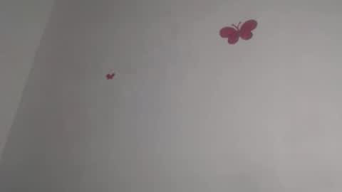 Iris online show from 10.15.25