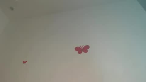 Iris online show from 04.02.26