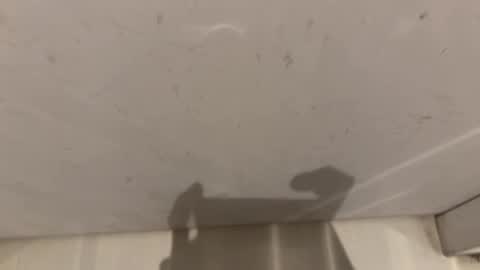 Snapshot of hornybear420420420 chatting on 03.02.26 hornybear420420420 online show from 03.02.26