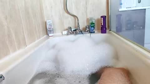 hornybiker1987 online show from 11.25.25