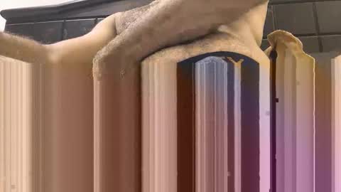 hornyboy_01z online show from 09.11.25