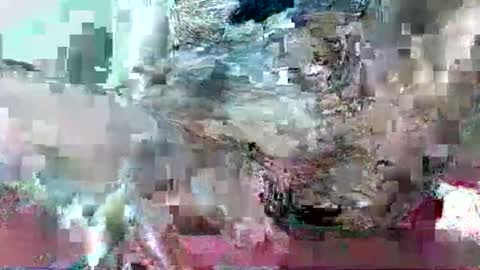 hornydrop_ online show from 09.30.25