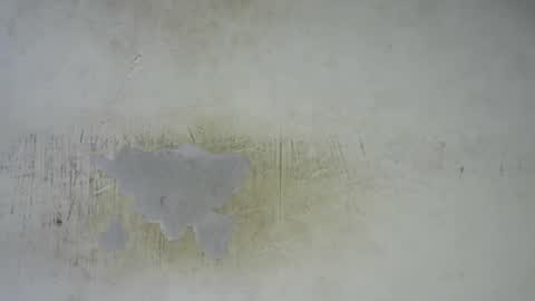 Bella online show from 02.25.26